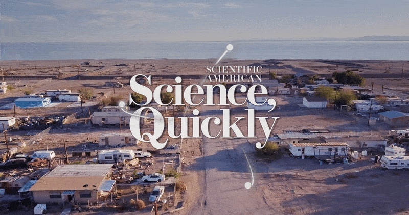 Poisons, Perils on Salton Sea Balanced News