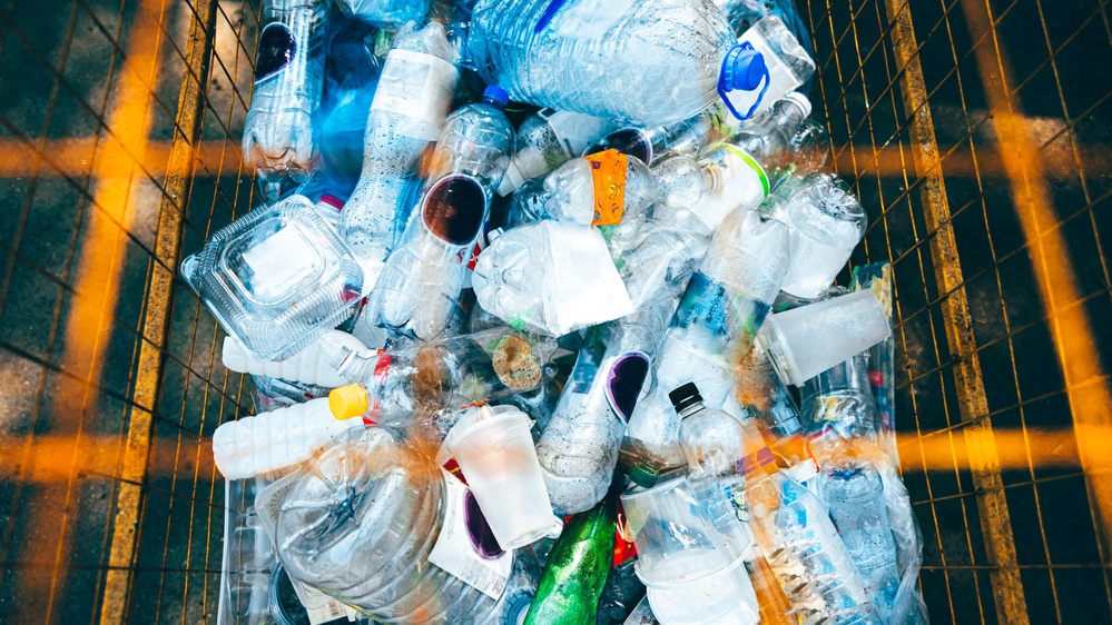 Can Plastic Waste Be Transformed Into Food for Humans?