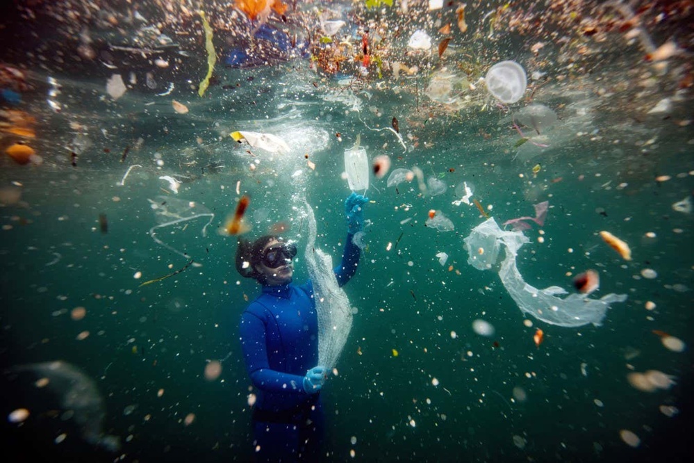 Microplastics could be hampering the ocean's ability to capture carbon