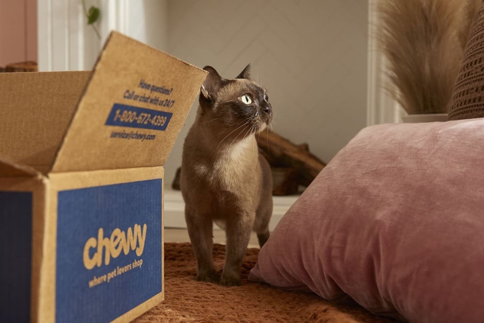 Keith Gill discloses a 6.6% stake in Chewy, causing stock price surge.