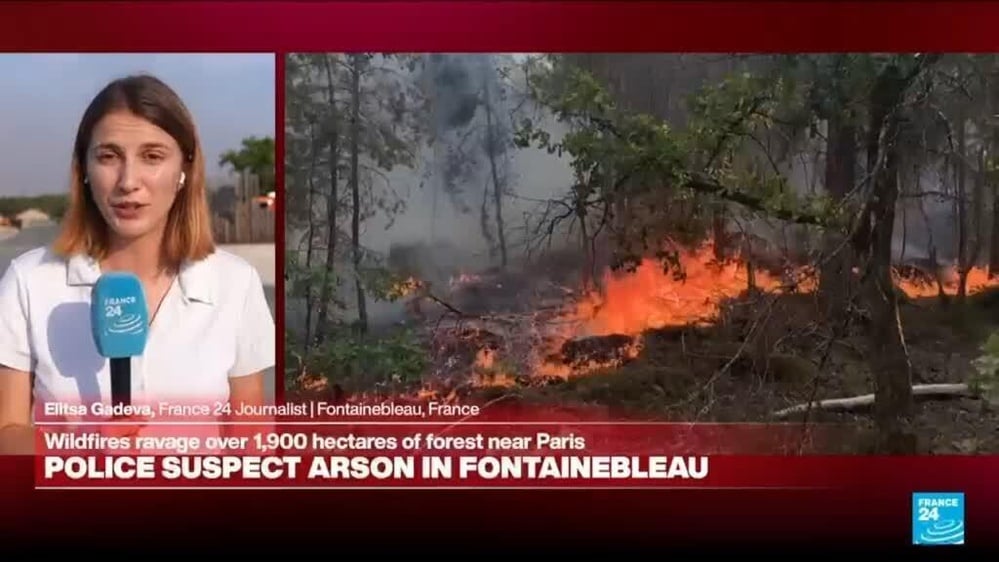 Police suspect arson in a major Fontainebleau wildfire near Paris