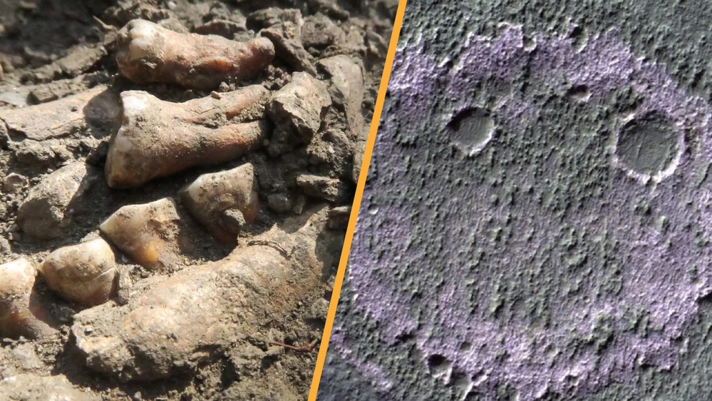 Science news this week:  'Thorin' the last Neanderthal and a 'smiley face' on Mars