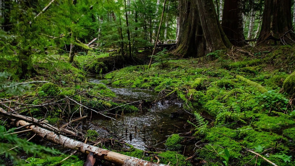 Washington State Has Been Sitting on a Secret Weapon Against Climate Change