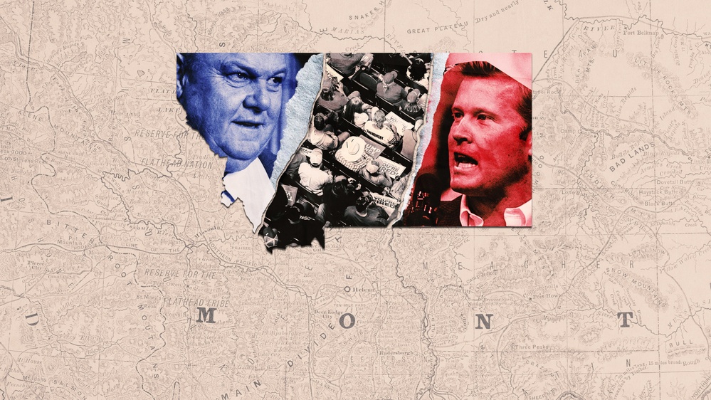 The Last Stand of the Rural Democrats