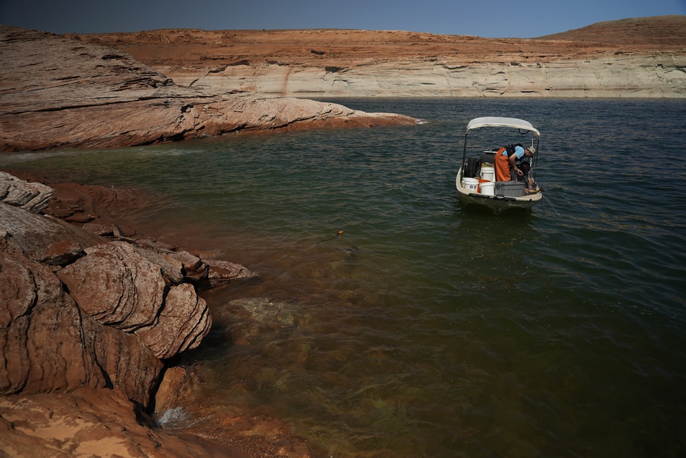 Western states face drastic water cuts as Colorado River dries up