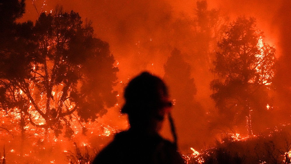 The Southern California Wildfire Paradox