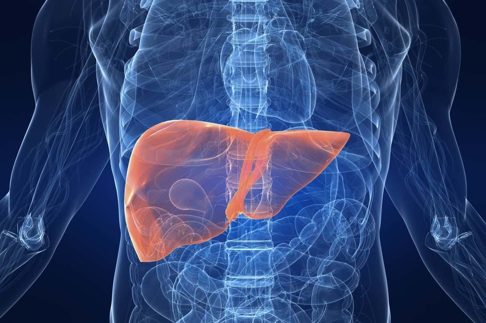 Semaglutide shows promise in treating metabolic dysfunction-associated steatohepatitis