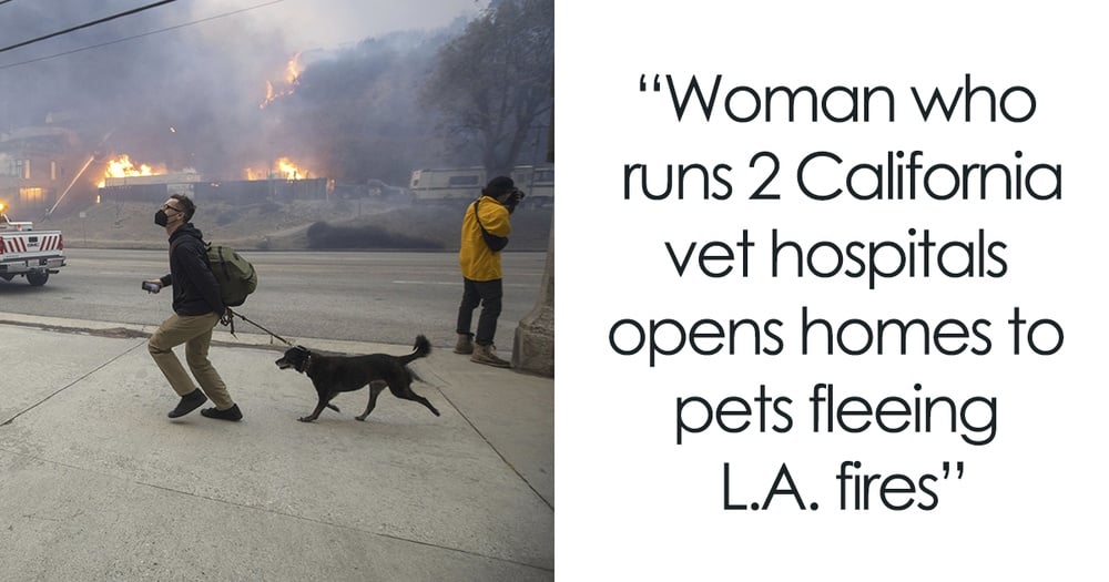 Amid The Horrific LA Wildfires, People Share Heartwarming Moments Of Hope And Wholesomeness