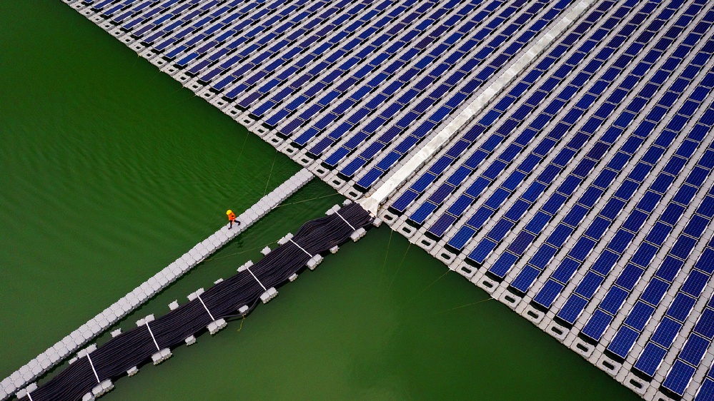 Green partnership blooms: China, Vietnam drive new energy cooperation