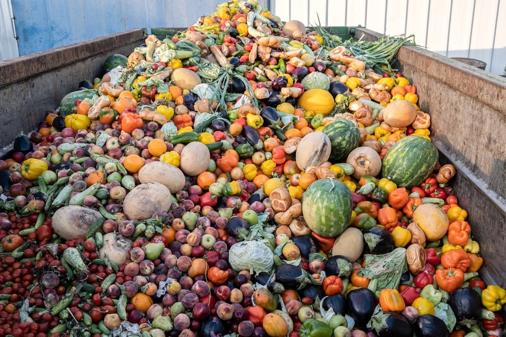 Food waste contributes to emissions. Balanced News