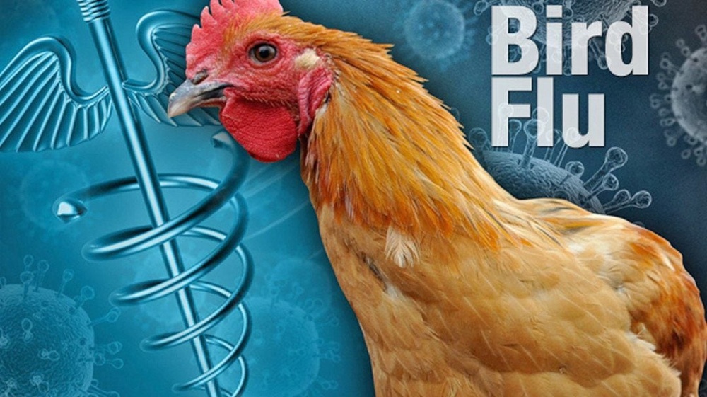 LAWRENCE SELLIN EXCLUSIVE: Biden's Department of Agriculture Is Conducting Bird Flu Research with a Chinese Scientist Linked to People's Liberation Army