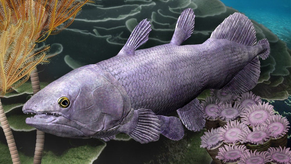 Ancient relative of 'living fossil' fish reveals that geological activity supercharges evolution