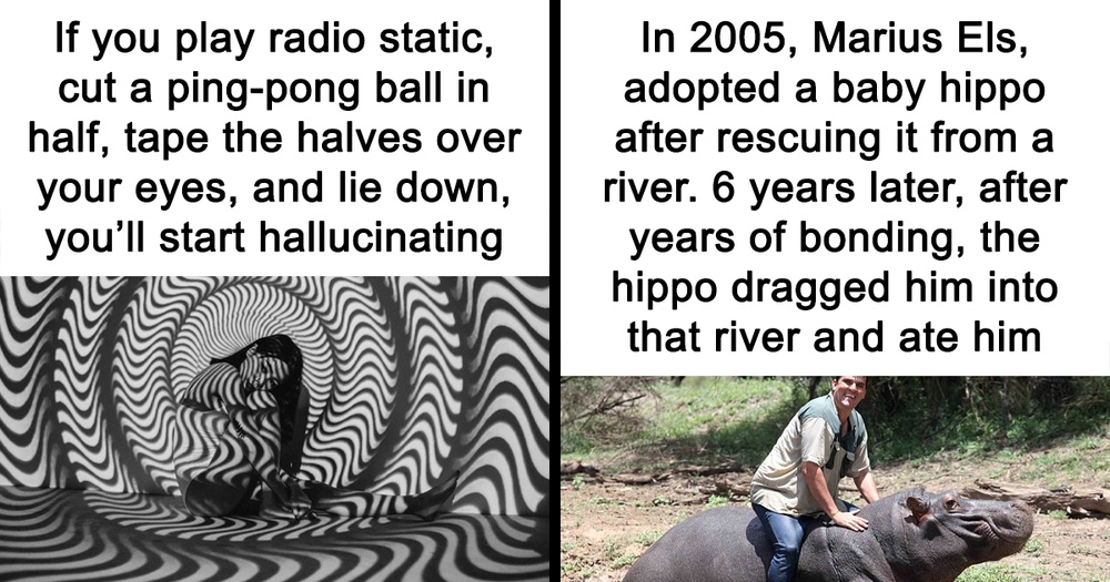 44 Of The Most Interesting And Fascinating Facts (New Pics)