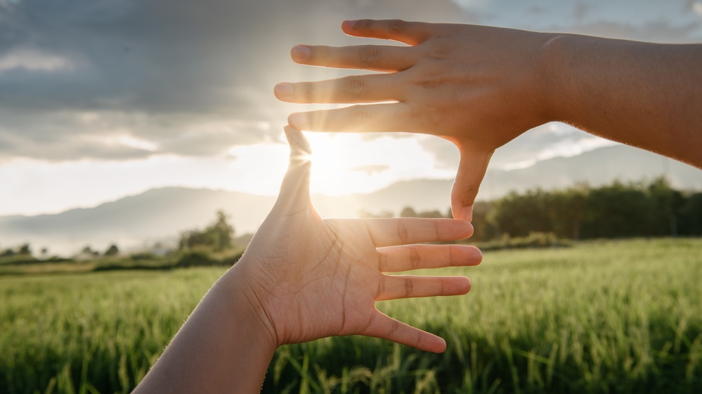 Book Excerpt: How Circadian Rhythms Make Life on Earth Tick