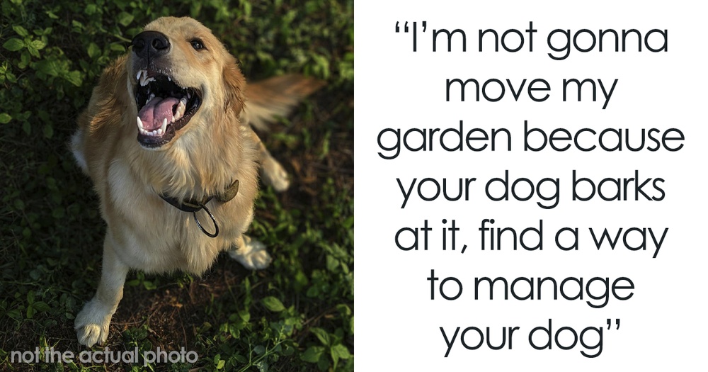 Neighborhood Drama Erupts When A Woman Blames Her Barking Dog On The Garden Next Door