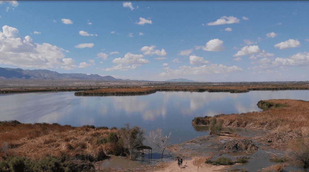 This Artificial Wetland Is Reusing Wastewater to Revive a Lost Ecosystem