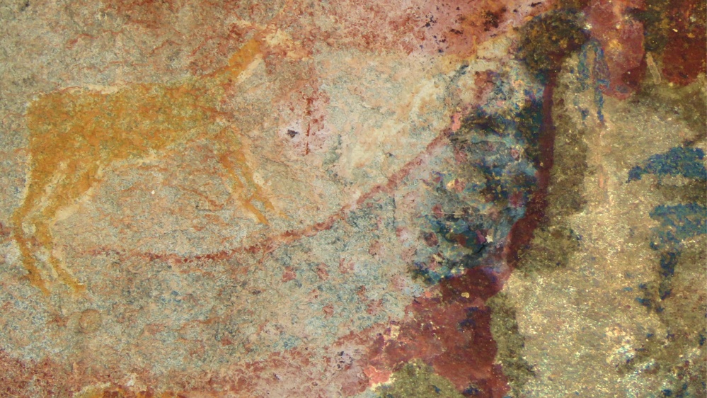 South African rock art of mystery creature 'strangely flexed like a banana' might be tusked reptile that predated dinosaurs