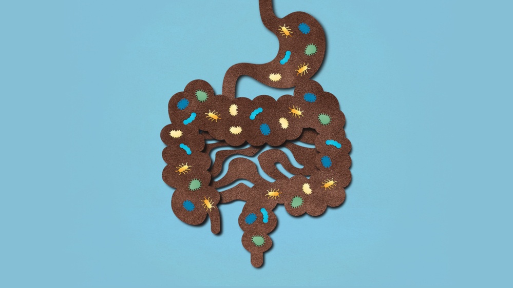 Excerpt: (Don't Be Squeamish) The Unlikely Cure for a Gut Disease
