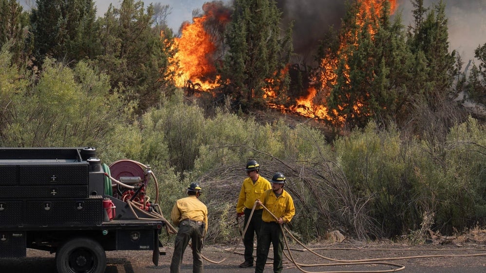 Source: https://san.com/cc/4-million-acres-burning-from-wildfires-spurs-maximum-national-alert-level/