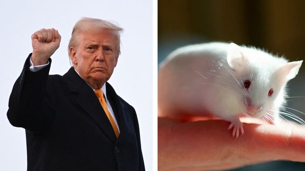 Analyzing claim Trump confused 'transgenic mice' with 'transgender mice' in address to Congress