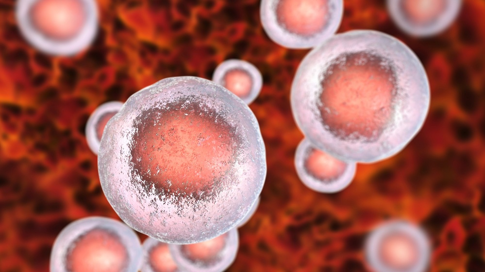 Immunotherapy rejuvenates aged immune systems Balanced News