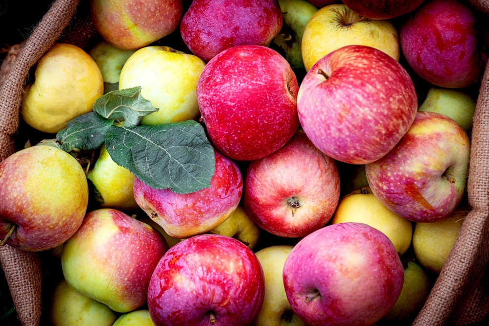 Trump's Tariffs Are Threatening America's Apple Juice Supply Chain