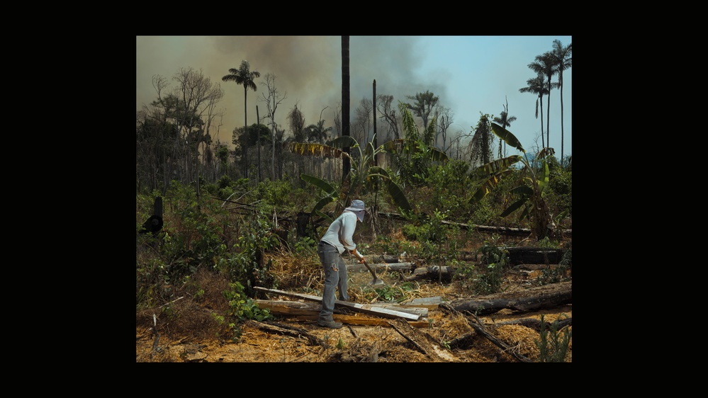 Trump's Trade War Could Turbocharge Deforestation in the Amazon
