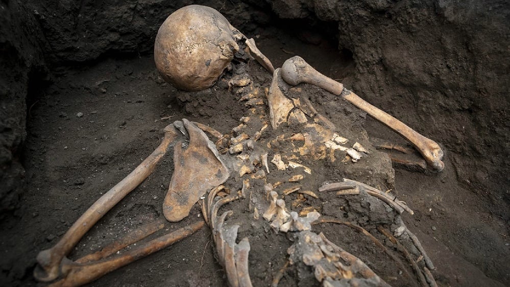 Recent archaeological finds reveal ancient human lives and cultures