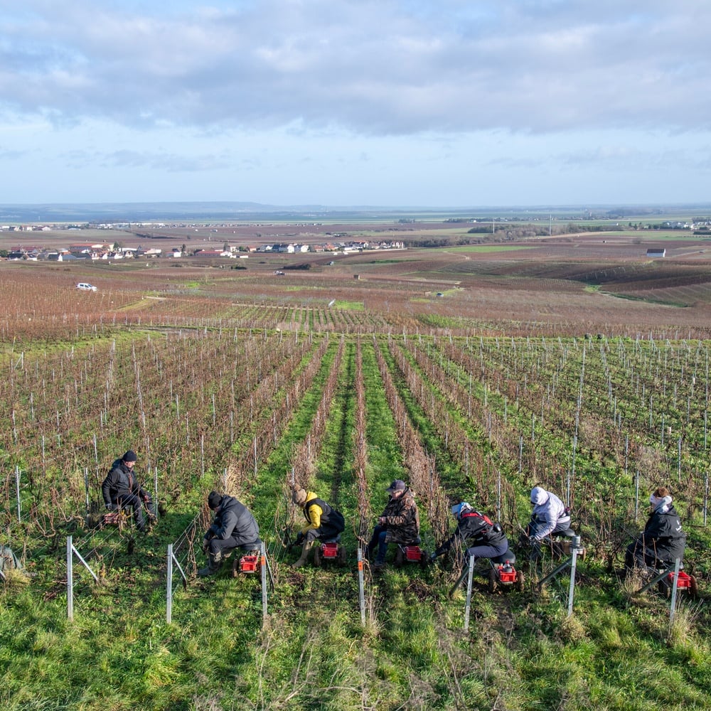 Trump's Tariff Threat Sends French Wine and Champagne Makers Reeling