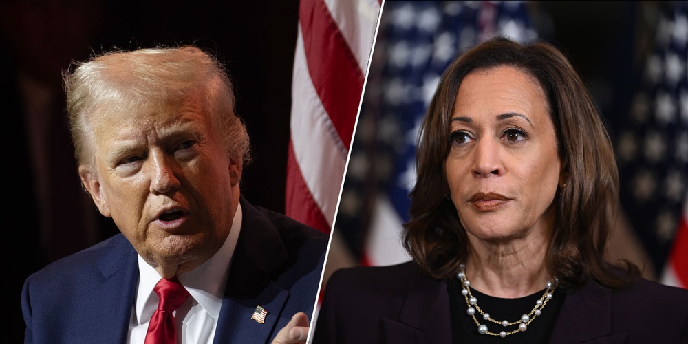 Trump's comments challenged Harris's biracial identity, igniting public backlash.