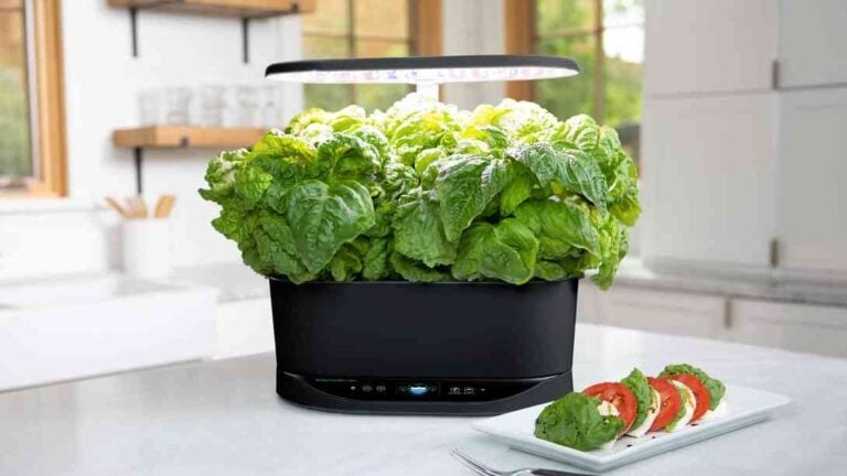 Smart gardening firm's shutdown a reminder of Internet of Things' fickle nature