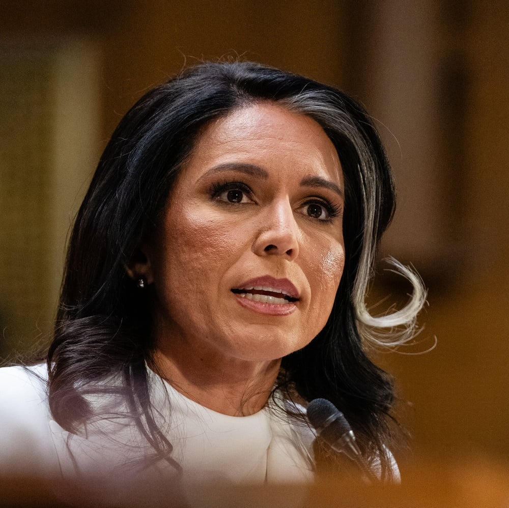 Tulsi Gabbard confirmed as Director of National Intelligence Balanced News