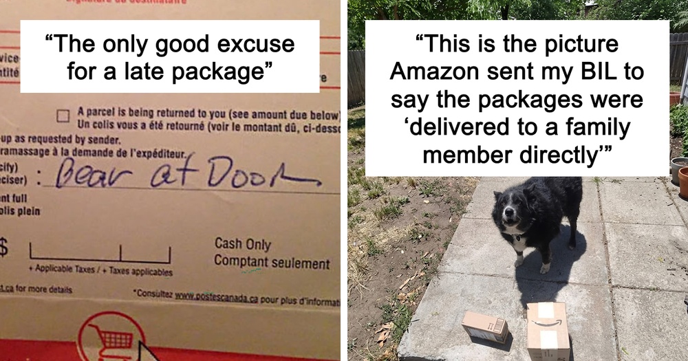 75 Package Delivery Disasters That Are Honestly Just Really Funny