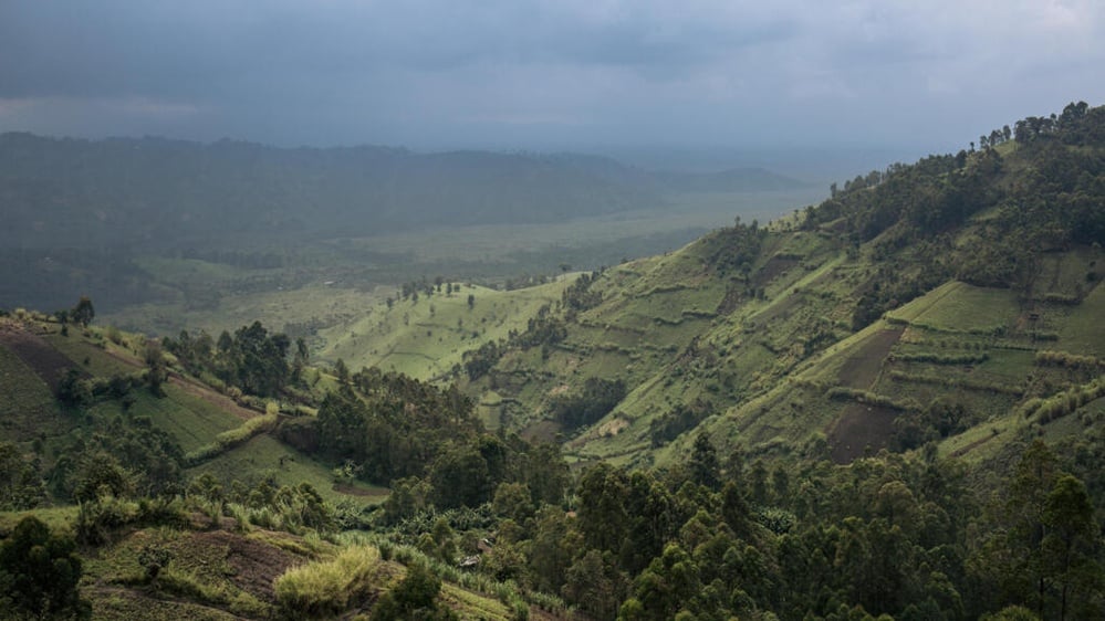 Source: https://www.rfi.fr/en/environment/20261014-deforestation-falling-worldwide-but-congo-basin-losses-grow-report-finds