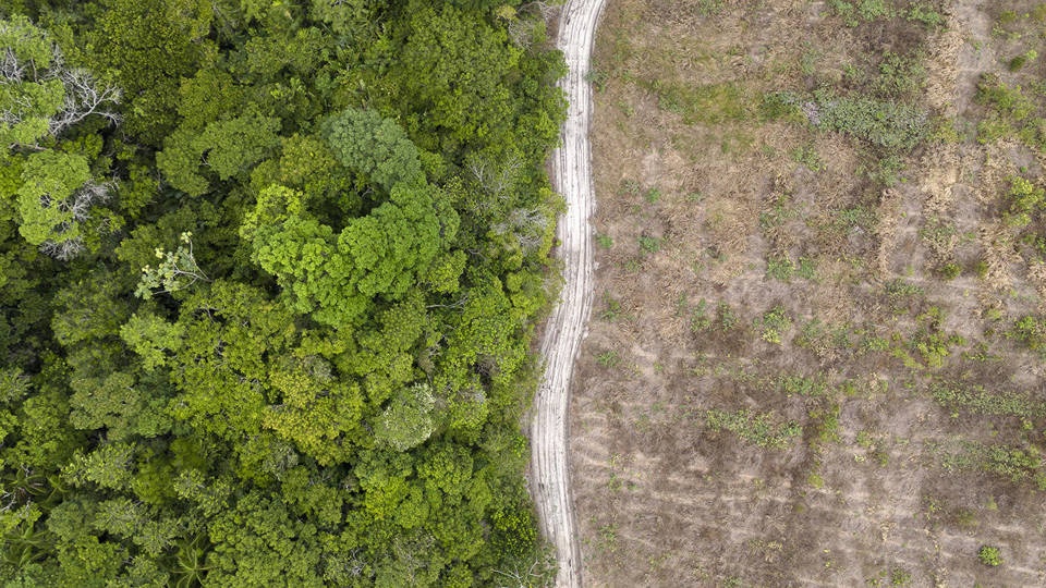 The Right Incentives for Climate Action
