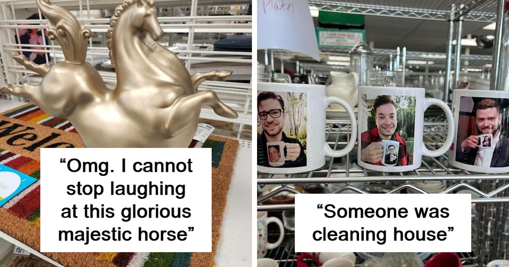 50 Times People Found The Funniest And Weirdest Things While Shopping Secondhand