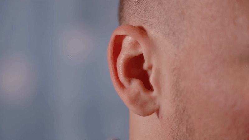 'Vestigial' human ear-wiggling muscle actually flexes when we're straining to hear