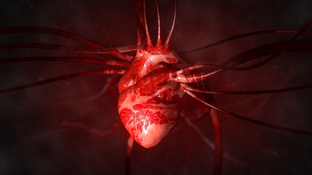 Stem-cell patches show promise in treating heart failure.