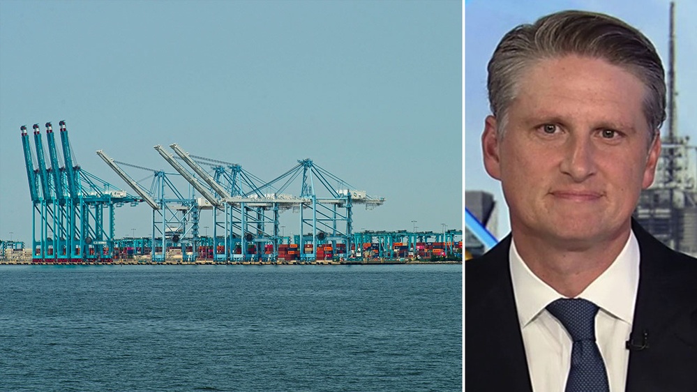 US economic toll of East Coast and Gulf port strike could be billions per day, trade expert warns