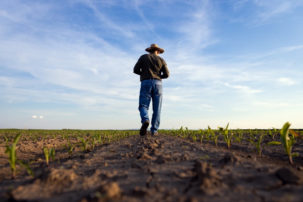 Farmers in Crisis, Long Overlooked, Are Finally Getting Mental Health Support