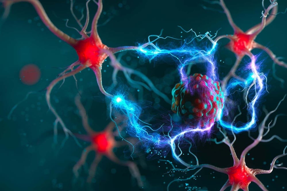 Nerves play a central role in cancer growth and spread