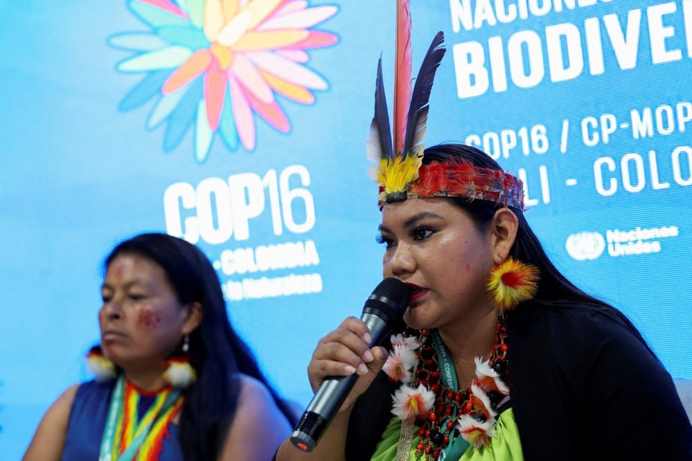 Indigenous representation in biodiversity governance is now formalized at COP16.