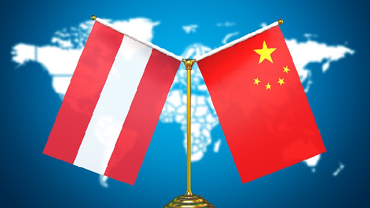 Wang Yi urges stronger China-Austria ties, slams U.S. tariffs