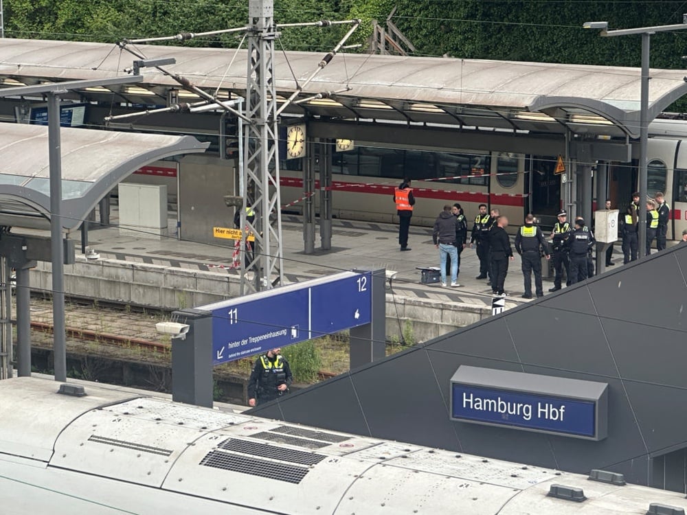 Stabbing at Hamburg Central Station injures 17; mental distress suspected motive.