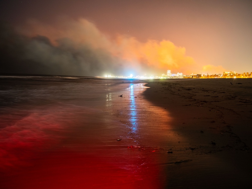 Trial by Fire: Inside the Ravaging of Los Angeles