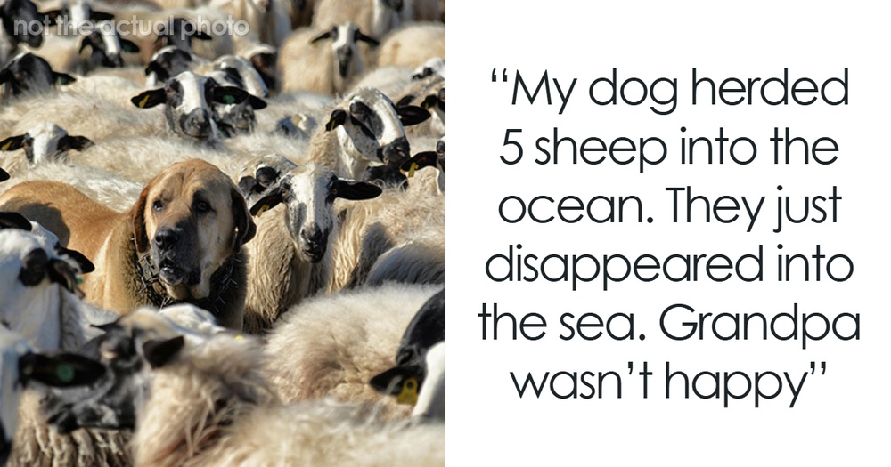 People Share The Worst Thing They've Seen Their Pet Do, And Some Are Disturbing