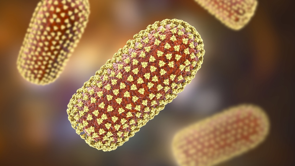 In 'extremely rare' case, Michigan resident dies from rabies after receiving transplanted kidney carrying the virus