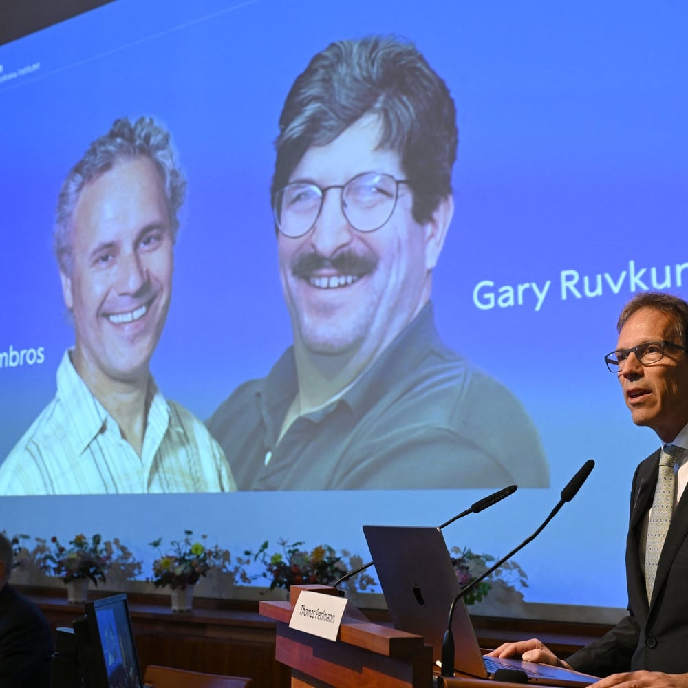 Ambros and Ruvkun awarded Nobel for microRNA discovery