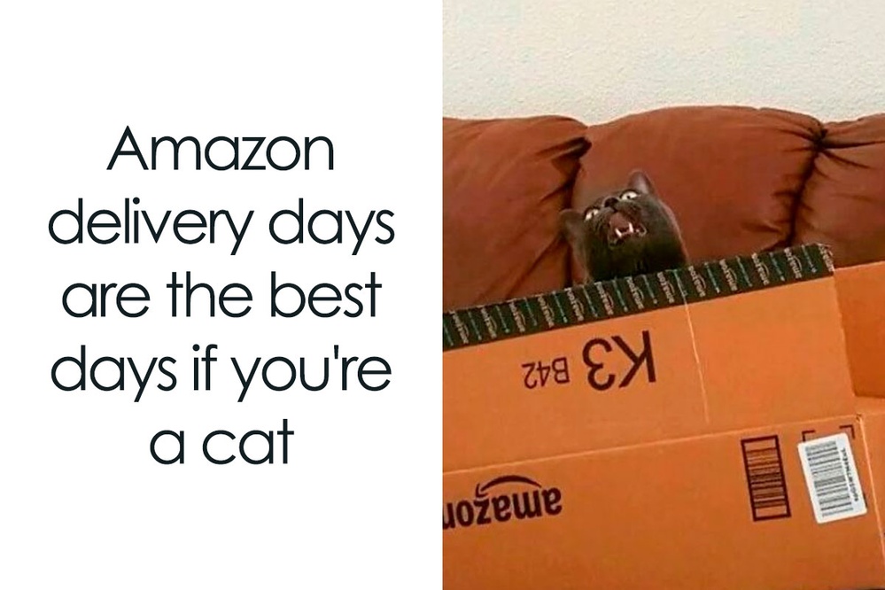 50 Wholesome Memes To Remind You That The World Isn't All Bad (New Pics)