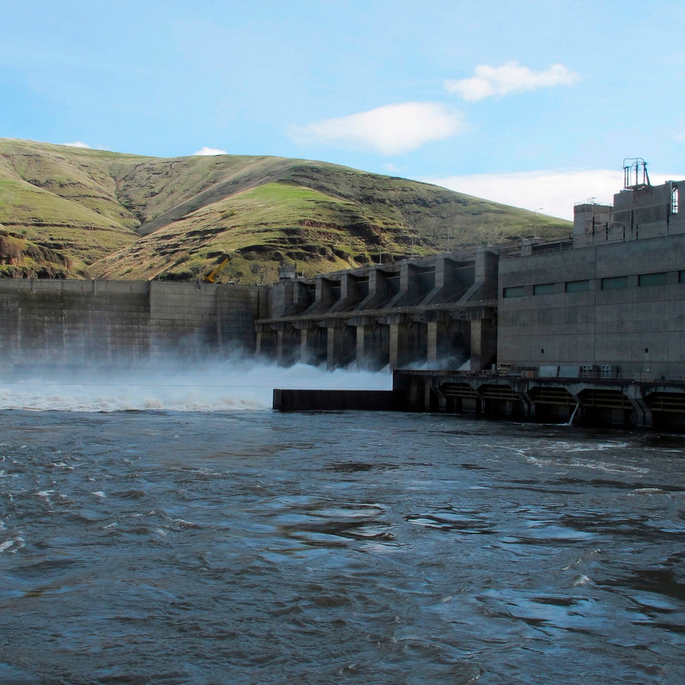 Trump Withdraws From Agreement With Tribes to Protect Salmon